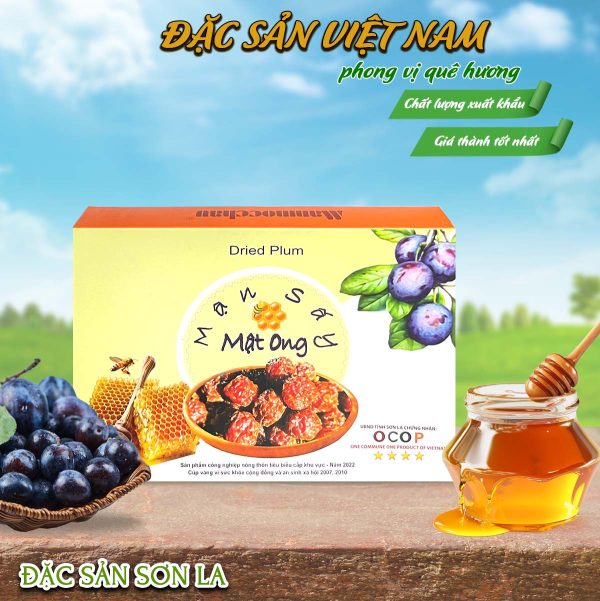 Mận sấy dẻo tách hạt vị mật ong - Thương hiệu MẬN MỘC CHÂU - Đặc sản Sơn La - Hộp 250g - Ảnh 3