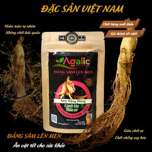 Sâm đen lên men mật ong - Thương hiệu AGALIC - bổ khí huyết, tăng sinh lực - Túi 300g - Đặc sản núi Ngọc Linh Kon Tum