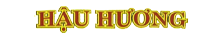 brands - hau huong