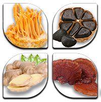 Đặc sản sức khỏe